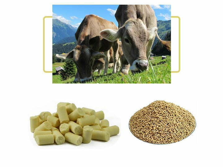Feed pellet for cattle