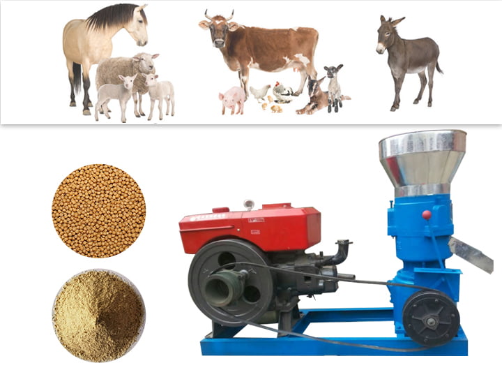 Effect picture of feed pellet mill machines